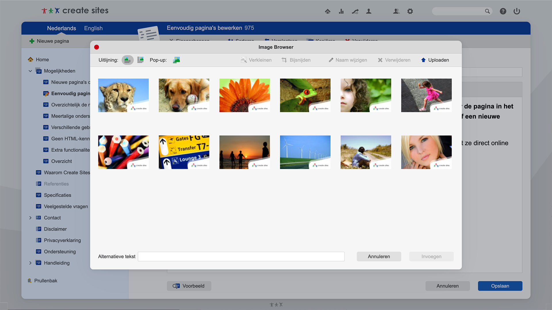 Website aanpassen voor iedereen:  Create Sites. / 3